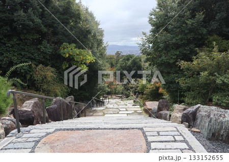 大阪神峯山大門寺の紅葉の始まり 133152655