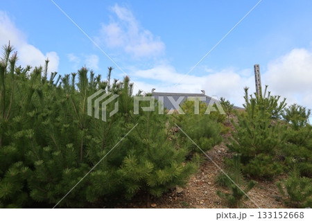 大阪神峯山大門寺の紅葉の始まり 133152668