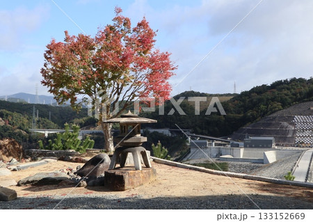 大阪神峯山大門寺の紅葉の始まり 133152669