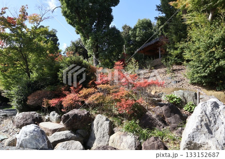 大阪神峯山大門寺の紅葉の始まり 133152687
