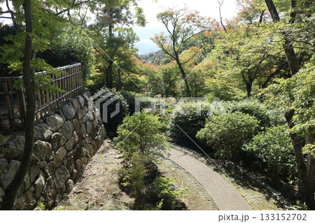 大阪神峯山大門寺の紅葉の始まり 大阪神峯山大門寺の紅葉の始まり 133152702
