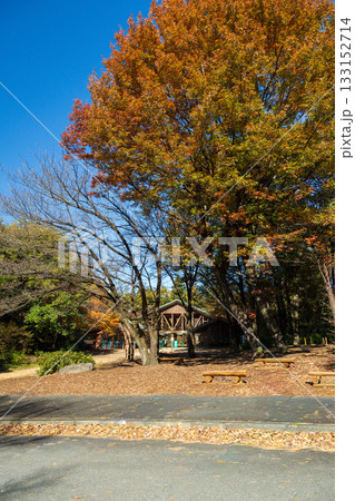 赤城自然園の入口　群馬県渋川市 133152714