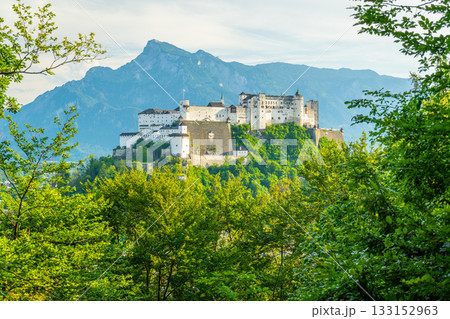Tree Branches and Hohensalzburg Fortress on Sunny Summer Day. Austria Tree Branches and Hohensalzburg Fortress on Sunny Summer Day. Austria 133152963
