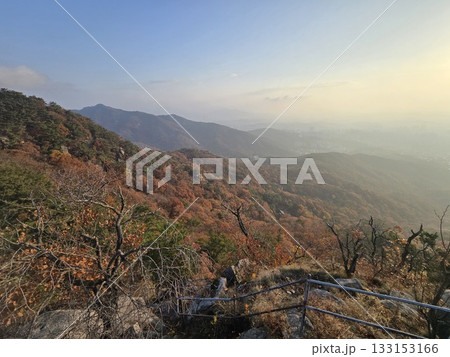 autumn landscape with a tree autumn landscape with a tree 133153166