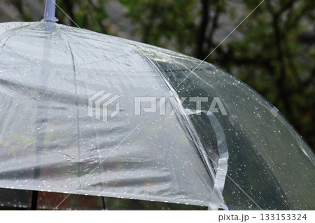 雨傘 ビニール傘 雨傘 ビニール傘 133153324