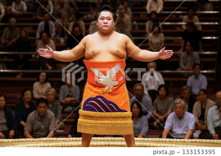 土俵入りのイメージ 133153395