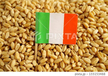 Italy flag on grain wheat, trade export and economy concept. 133153488