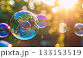Rainbow orbs dance in sunlit bokeh 133153519