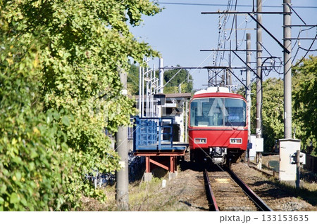 祖父江の銀杏並木と名鉄電車の風景 133153635