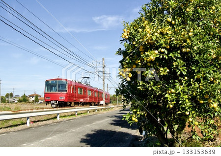 祖父江の銀杏並木と名鉄電車の風景 祖父江の銀杏並木と名鉄電車の風景 133153639