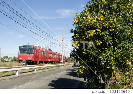 祖父江の銀杏並木と名鉄電車の風景 祖父江の銀杏並木と名鉄電車の風景 133153640