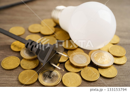 Cost of electric utilities with light bulb for payment. 133153794