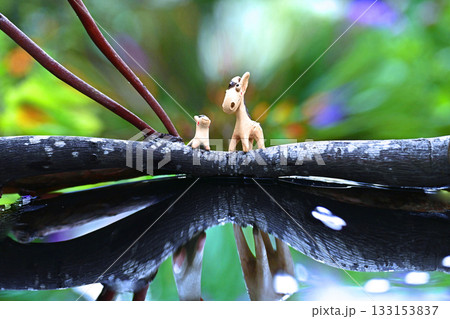 お馬の恋の物語・楽園の朝 133153837