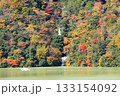 色づいた山から丹沢湖に流れ出る滝 色づいた山から丹沢湖に流れ出る滝 133154092