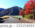 三保ダム手前の真っ赤な紅葉の木 三保ダム手前の真っ赤な紅葉の木 133154093