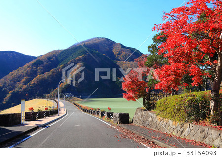 三保ダム手前の真っ赤な紅葉の木 133154093