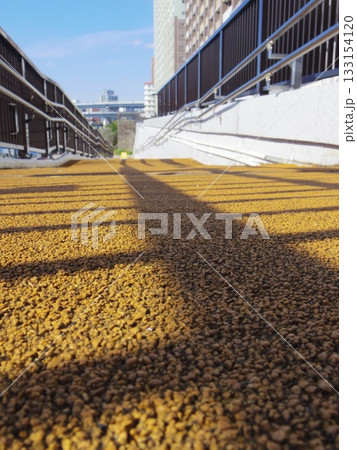 隅田川テラスのスロープ 133154120