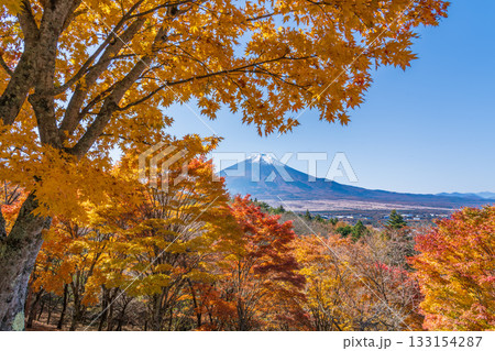 忍野村二十曲峠から紅葉に彩られた富士山 忍野村二十曲峠から紅葉に彩られた富士山 133154287
