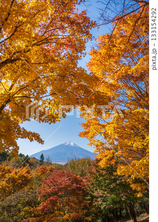 忍野村二十曲峠から紅葉に彩られた富士山 忍野村二十曲峠から紅葉に彩られた富士山 133154292