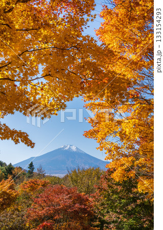 忍野村二十曲峠から紅葉に彩られた富士山 133154293