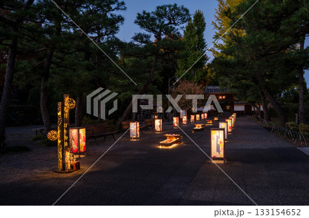 足利灯り物語 133154652