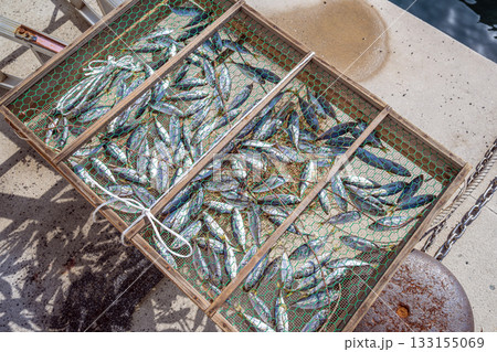 天日干しされる小魚 133155069