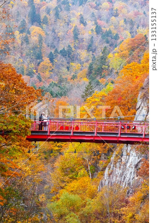 晩秋の定山渓温泉 晩秋の定山渓温泉 133155137