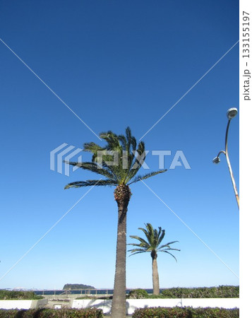 馬堀海岸付近 133155197