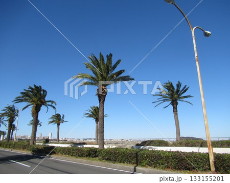 馬堀海岸付近 133155201