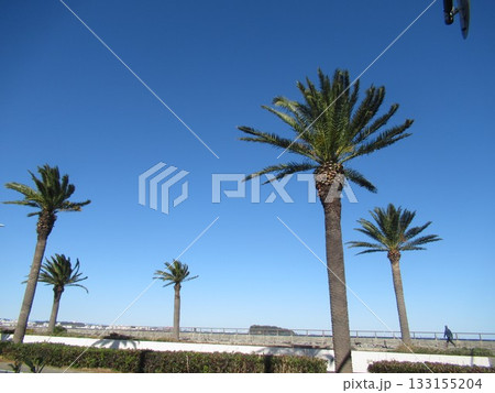 馬堀海岸付近 133155204