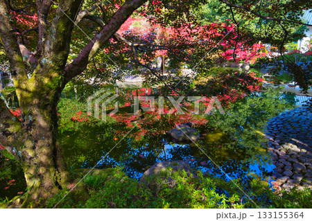 越前陶芸村の秋 133155364