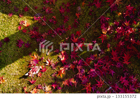 越前陶芸村の秋 133155372