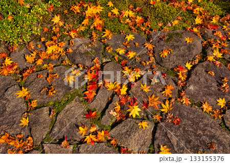 越前陶芸村の秋 越前陶芸村の秋 133155376