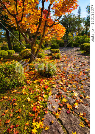 越前陶芸村の秋 133155377