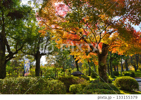 越前陶芸村の秋 133155379