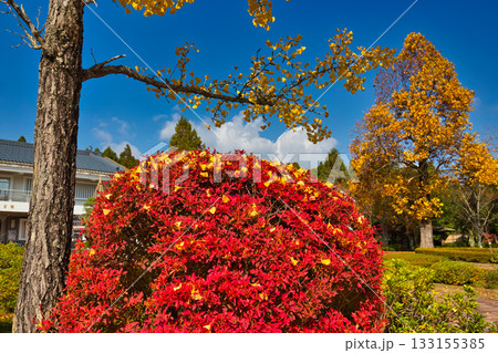 越前陶芸村の秋 越前陶芸村の秋 133155385