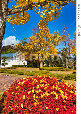 越前陶芸村の秋 133155386