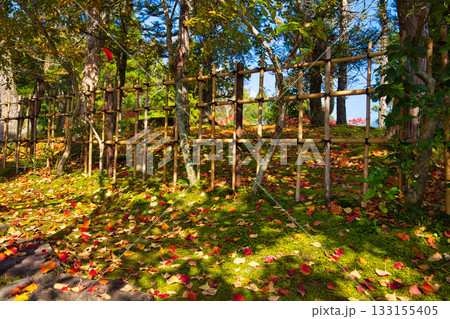 越前陶芸村の秋 133155405