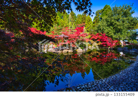 越前陶芸村の秋 133155409