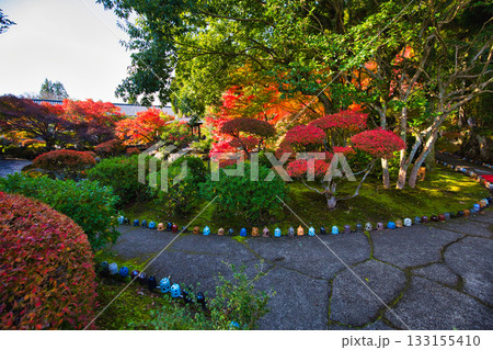 越前陶芸村の秋 越前陶芸村の秋 133155410