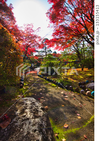 越前陶芸村の秋 133155413