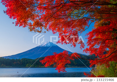 朝の河口湖の湖畔から見た紅葉と富士山 朝の河口湖の湖畔から見た紅葉と富士山 133155466