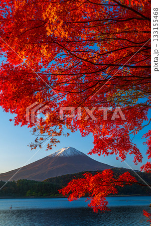 河口湖の湖畔から見た紅葉と富士山 133155468