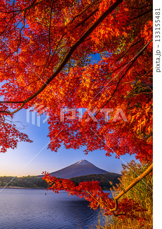 河口湖の湖畔から見た紅葉と富士山 河口湖の湖畔から見た紅葉と富士山 133155481