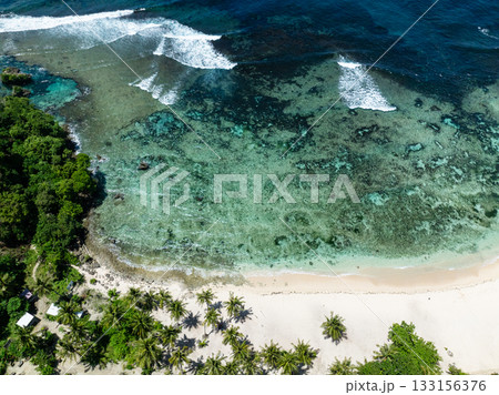 White sandy beach lined with palm trees and clear turquoise water with coral reef visible. Siargao, Philippines. 133156376