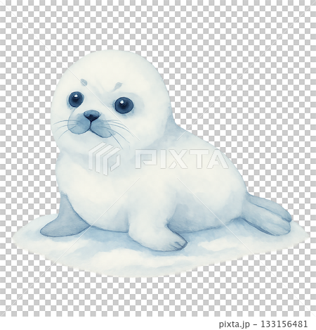 冬季小海豹的可愛插圖 133156481