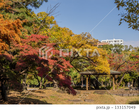 木々が色づき始めた秋の公園風景(東京都江東区・清澄公園) 木々が色づき始めた秋の公園風景(東京都江東区・清澄公園) 133157049
