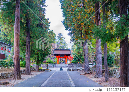 【山梨県】秋の恵林寺 総門から四脚門に続く参道 【山梨県】秋の恵林寺 総門から四脚門に続く参道 133157175
