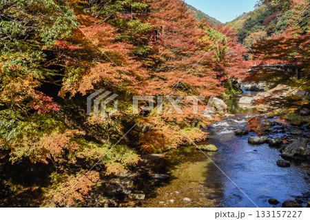 京都市　紅葉の清滝川風景 133157227