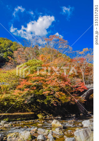 京都市　紅葉の清滝川風景 133157261